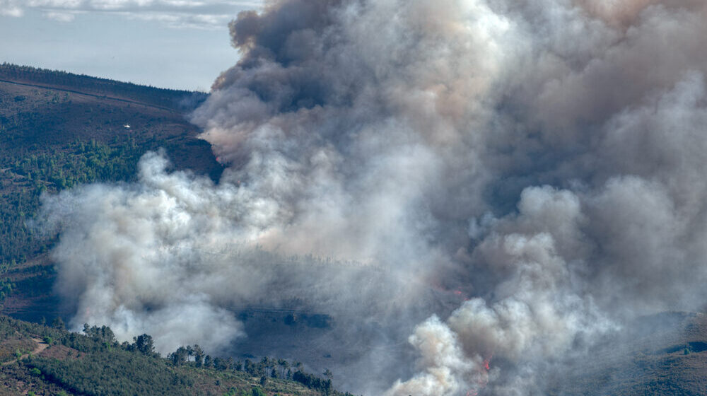 Incendi boschivi in Spagna e Francia