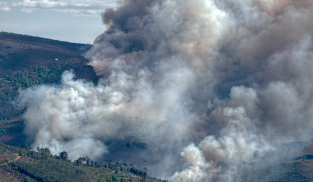 Incendi boschivi in Spagna e Francia