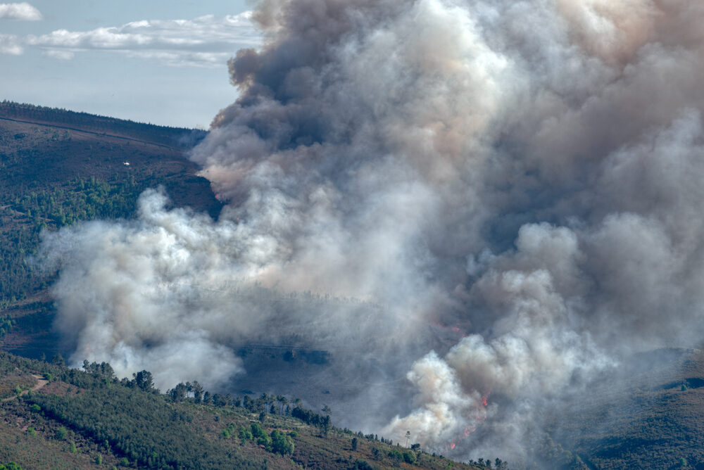 Incendio boschivo in Gironda, Francia