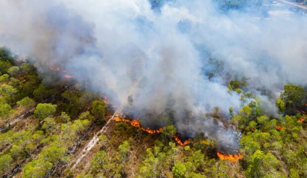 Incendi boschivi in Italia nel 2026