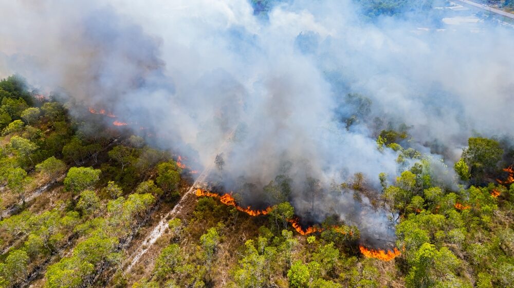 Incendi boschivi in Italia nel 2026