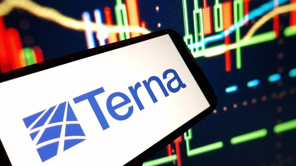 Terna investimenti sostenibili