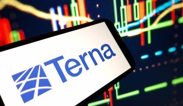 Terna investimenti sostenibili
