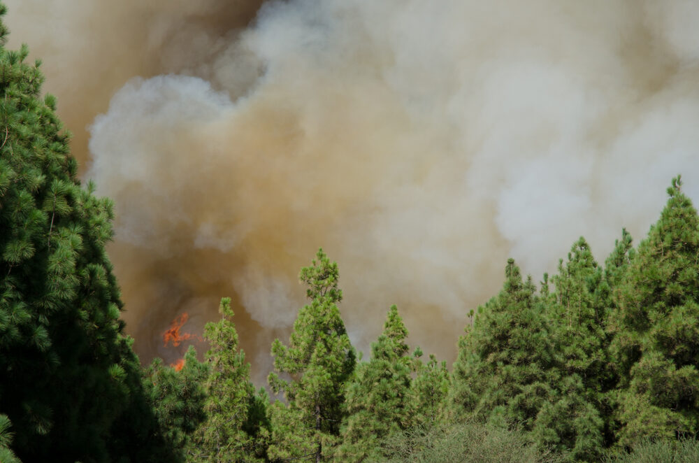 Incendi in Gironda, Francia