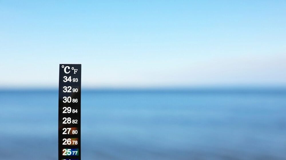 Temperatura media superficiale del mare