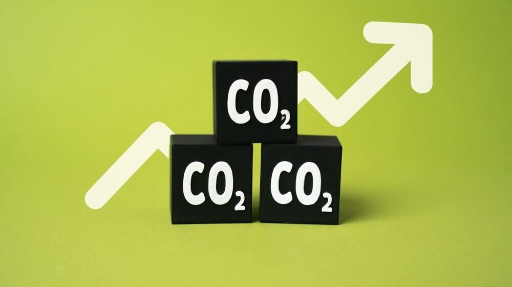Grafico del prezzo delle quote di CO2