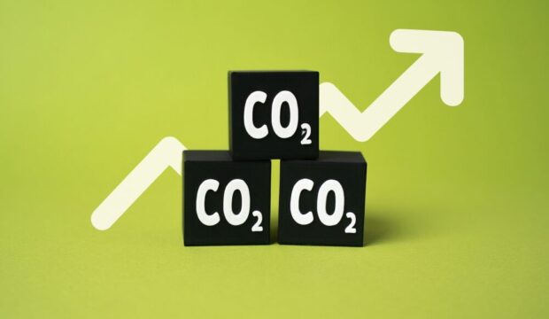 Grafico del prezzo delle quote di CO2
