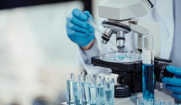 Modelli di tessuto tumorale per la ricerca sul cancro