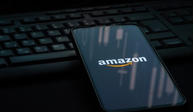 Ecosistema di sostenibilità di Amazon